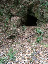 竜崖山でない山の坑道