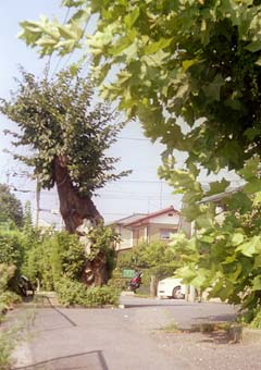 駅前跡